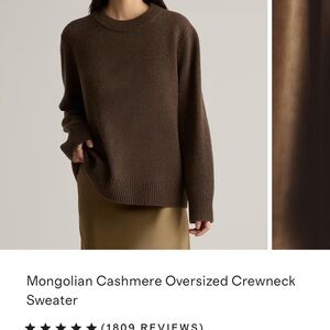 Quince Dark Brown Cashmere Crewneck Sweater